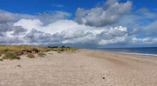 Gouberville Beach