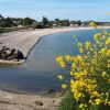 La Ferme Du Bord De Mer Beach