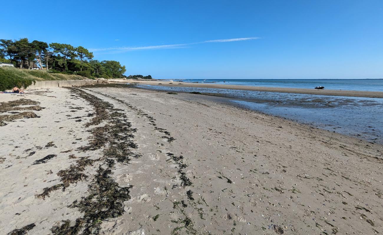 Photo de Jonville Beach avec sable lumineux de surface