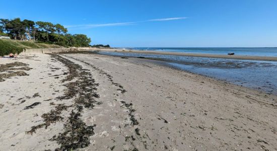 Jonville Beach