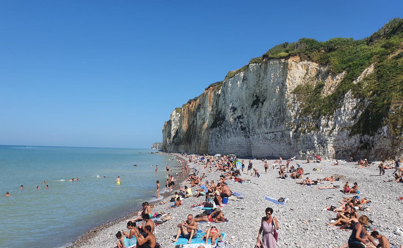 Photo de Veules-les-Roses Beach avec galets gris de surface