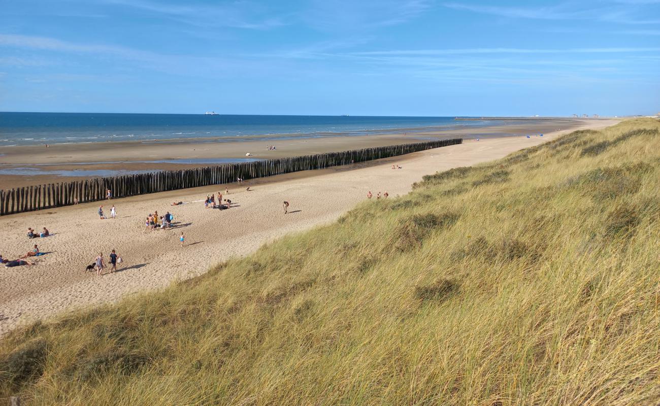 Photo de Ecardines Beach avec sable lumineux de surface