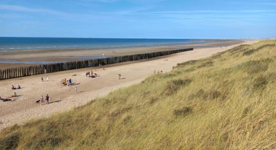 Ecardines Beach