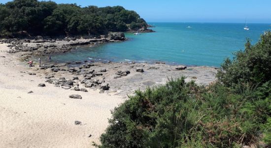 Sables Jaunes Beach