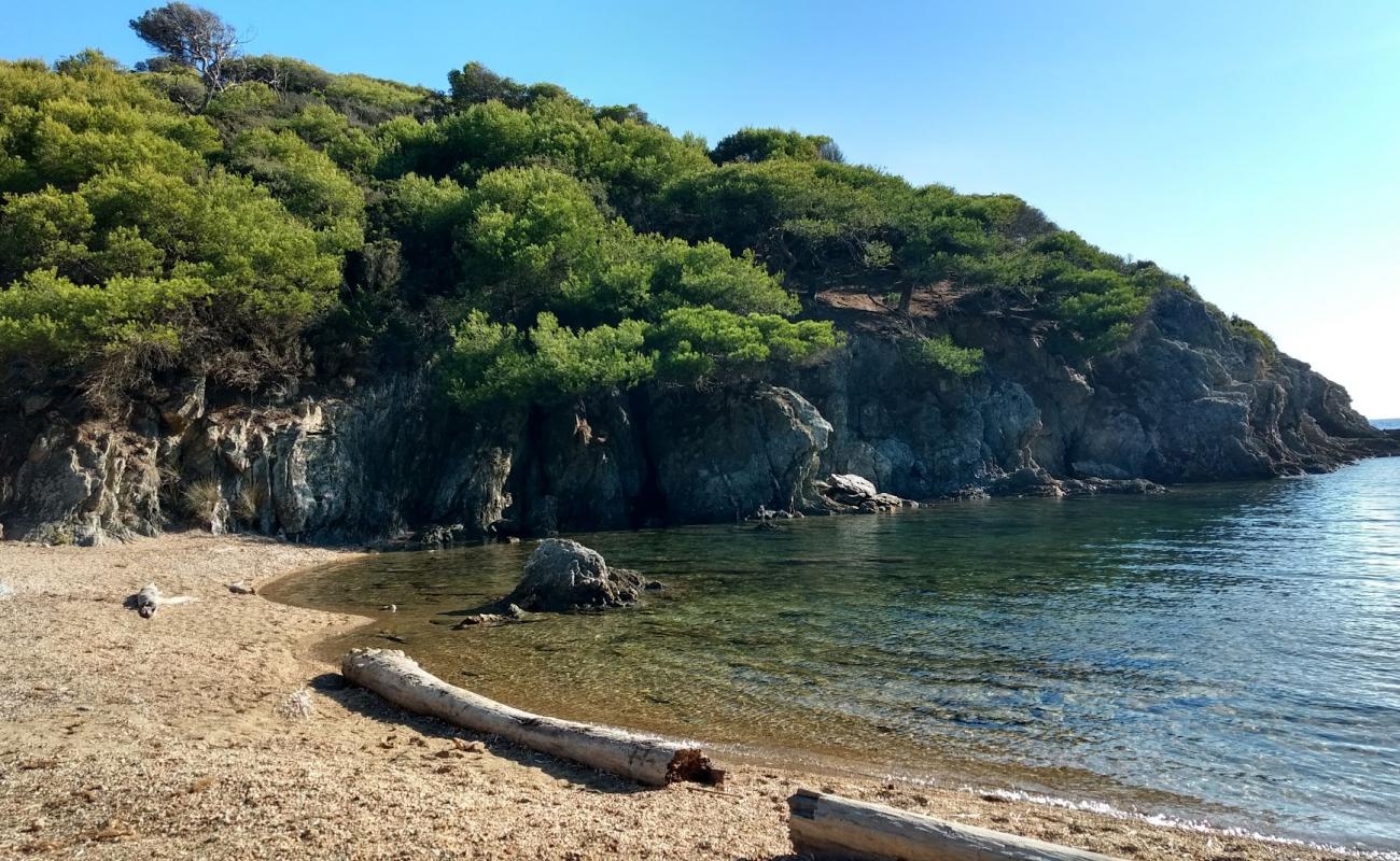 Photo de Calanque du Breganconnet Beach avec caillou fin gris de surface