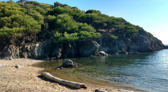 Calanque du Breganconnet Beach