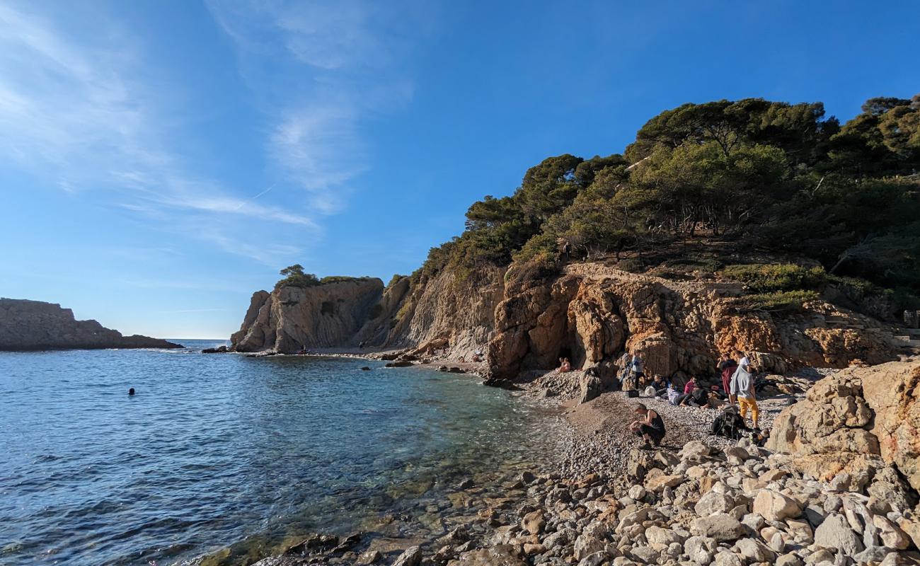 Photo de Calanque Des Anthenors Beach avec galets gris de surface