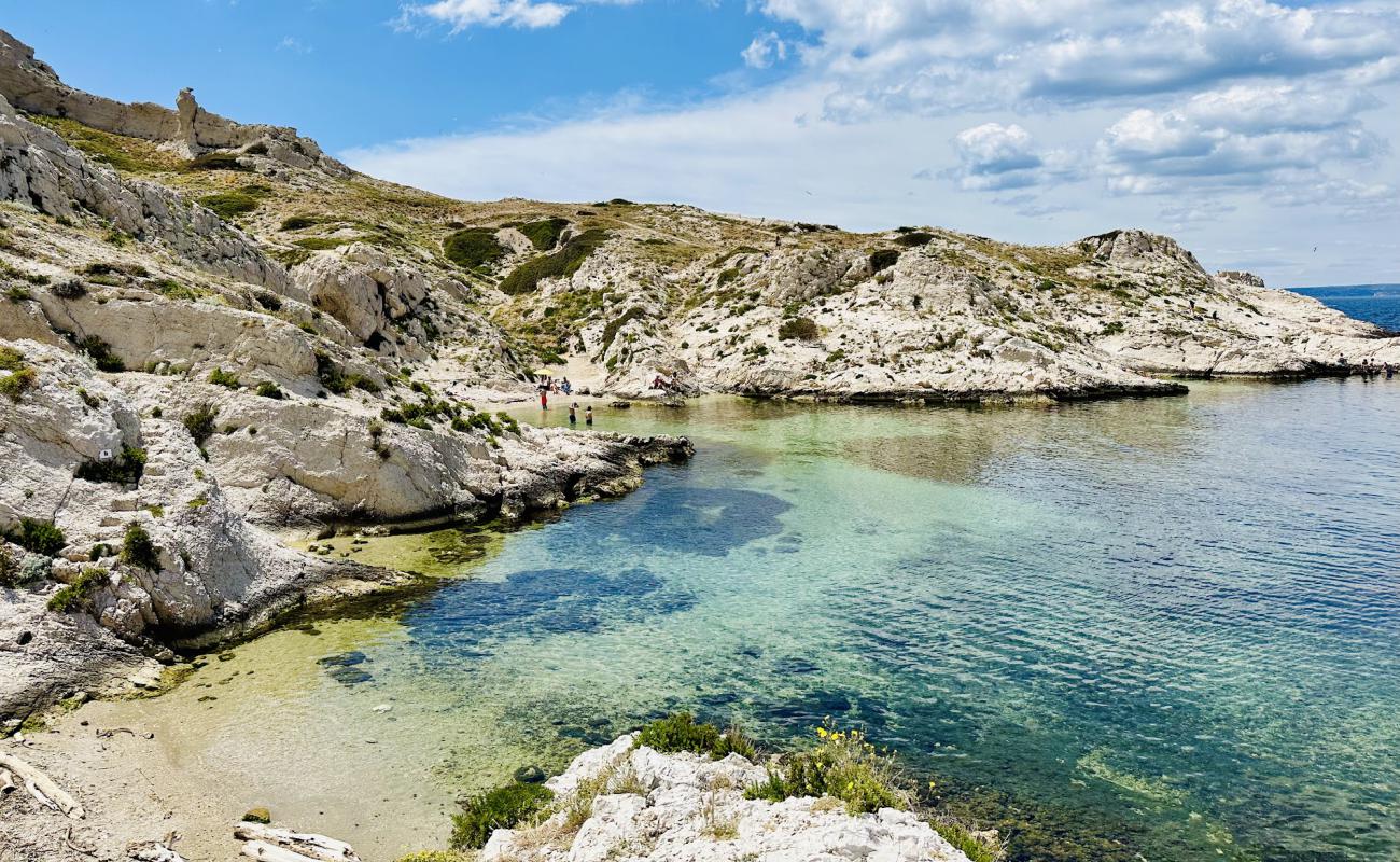 Photo de Calanque De La Crine Beach avec roches de surface