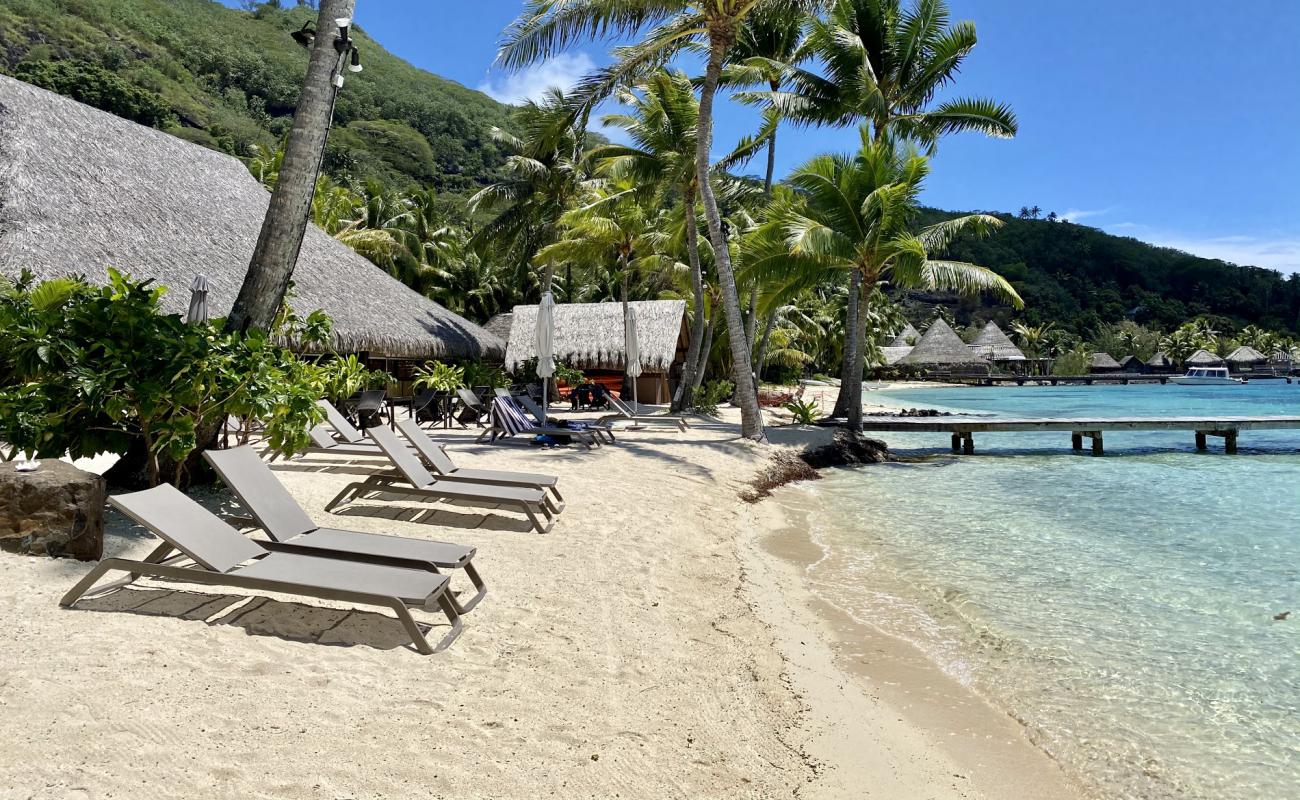 Photo de Plage Royale de Bora Bora avec sable lumineux de surface