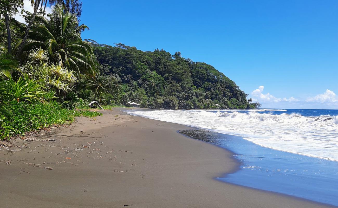 Photo de Plage de Tiarei avec sable fin brun de surface