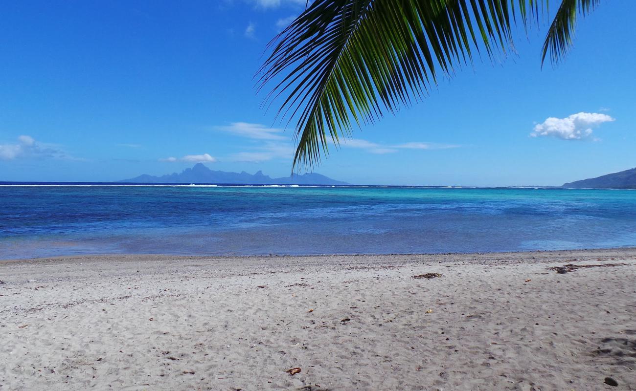 Photo de Plage de Rohotu avec sable beige de surface