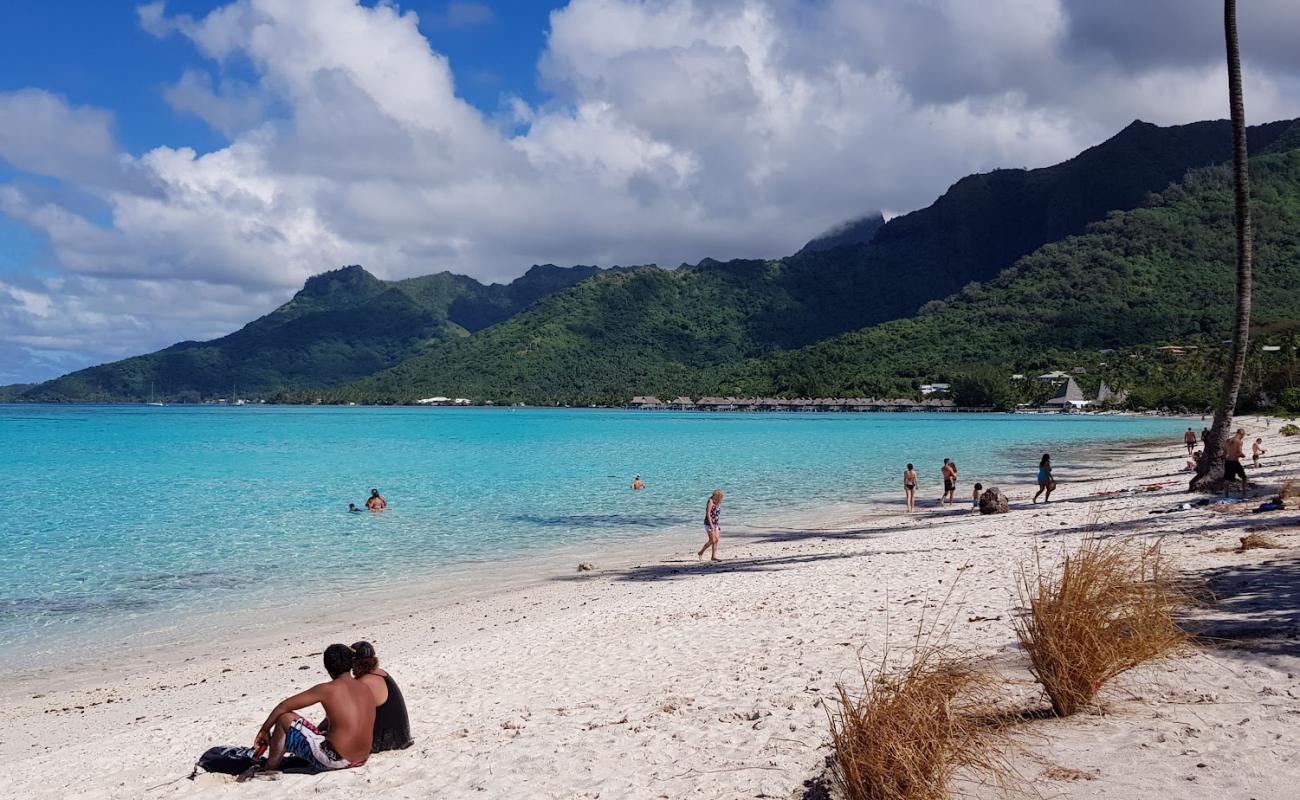 Photo de Plage de Temae avec sable blanc de surface