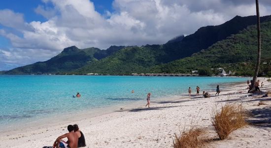 Plage de Temae