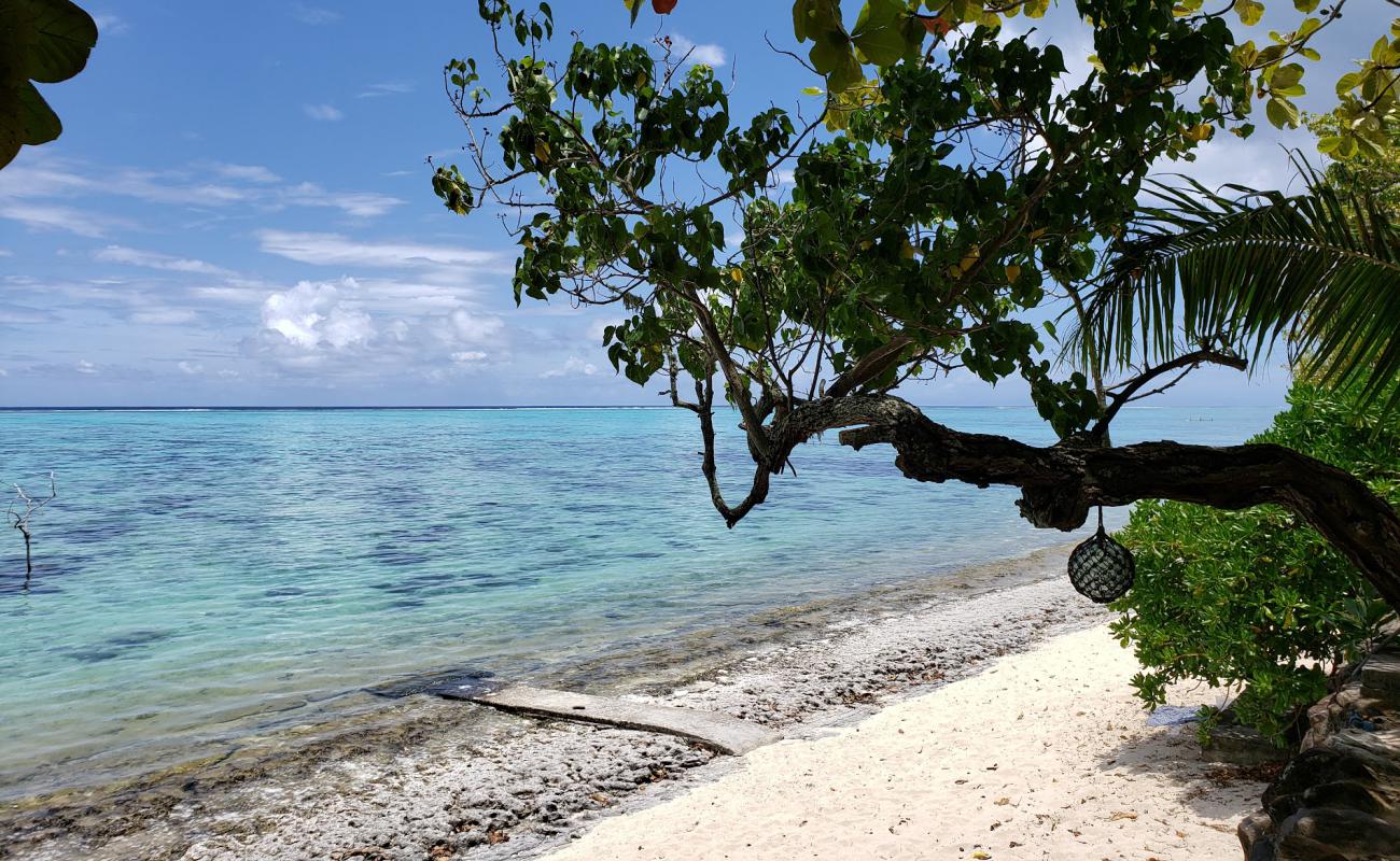 Photo de Pineapple Beach avec sable beige & pierres de surface