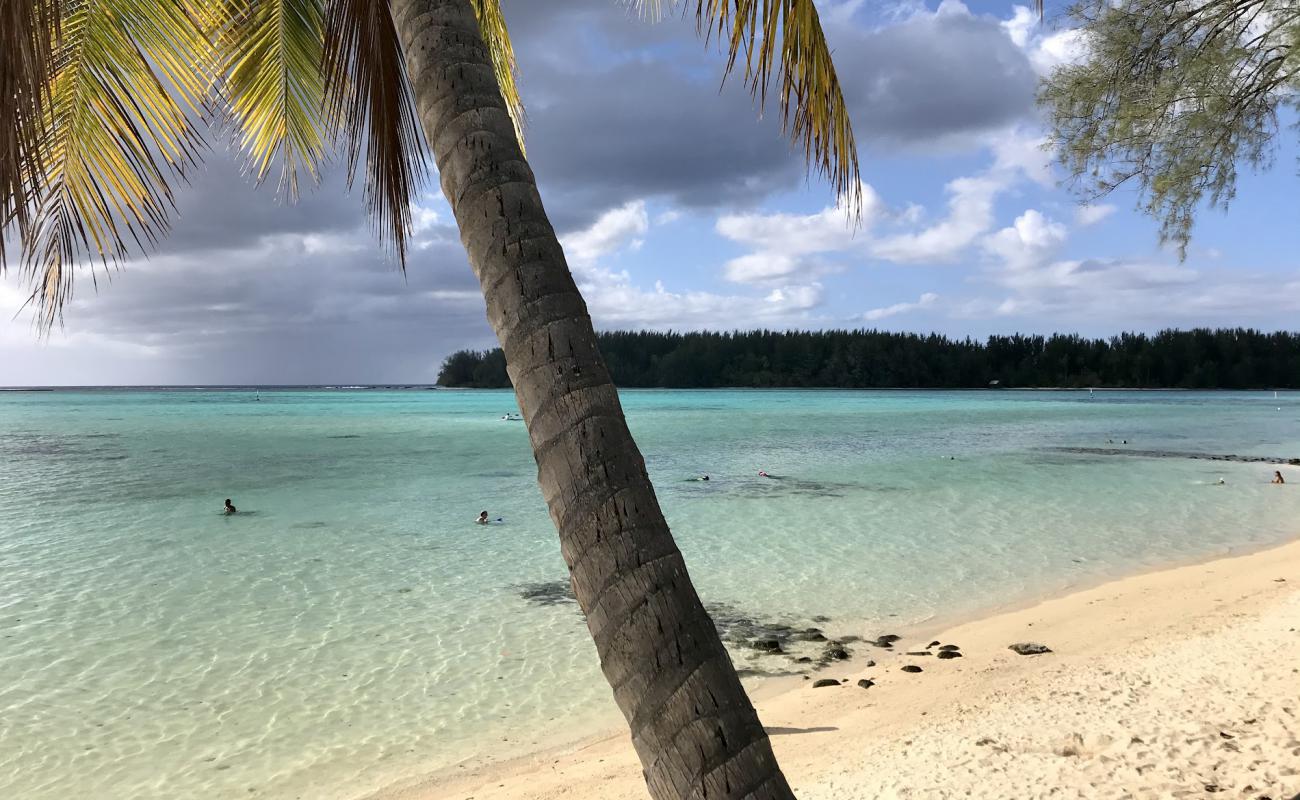 Photo de Hauru Beach avec sable brillant et rochers de surface