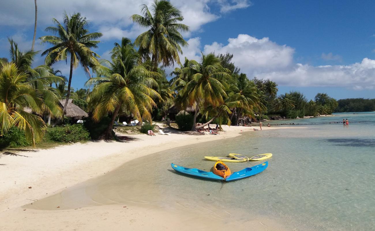 Photo de Plage des tipaniers avec sable beige fin de surface