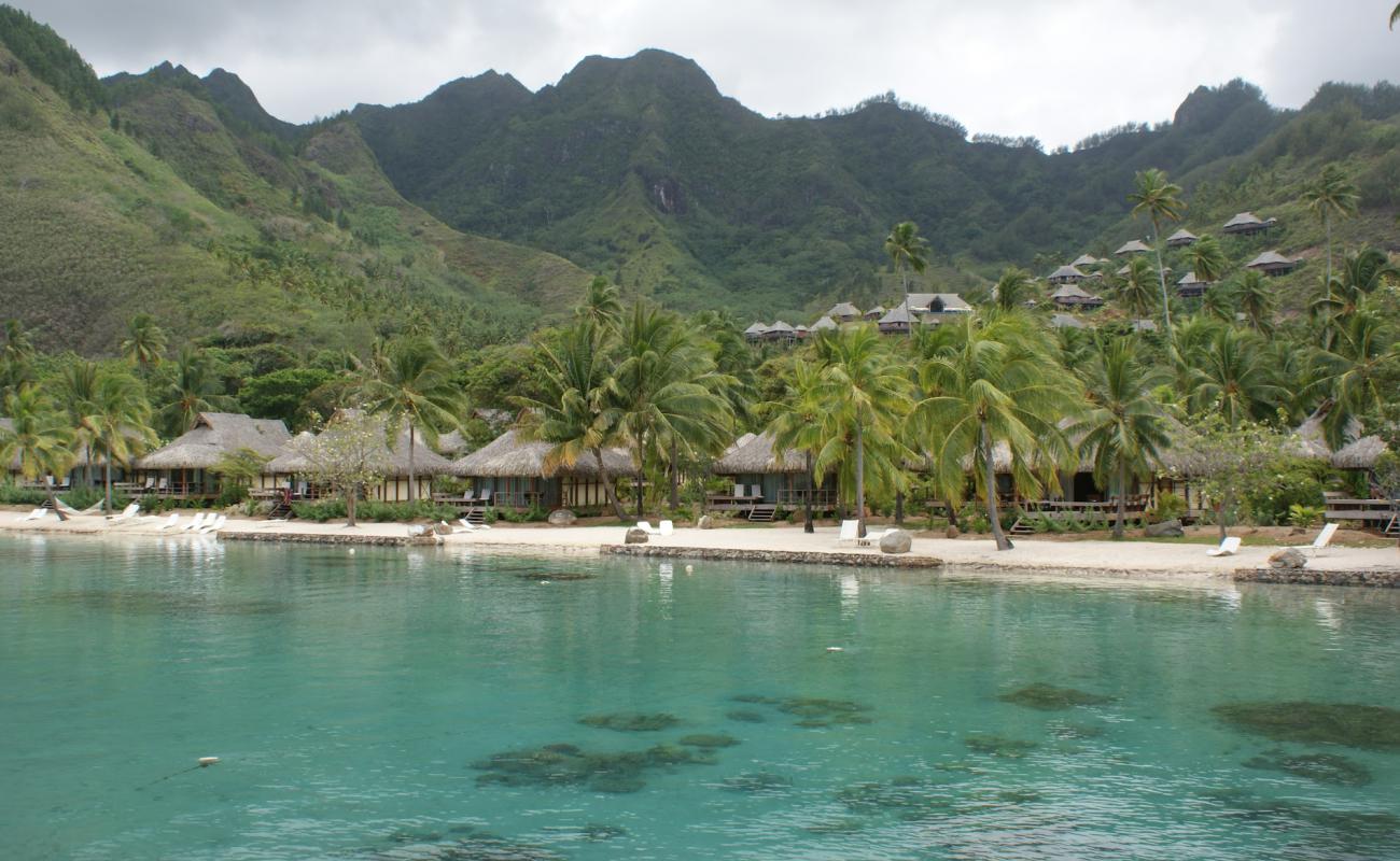 Photo de Haapiti Beach avec sable lumineux de surface