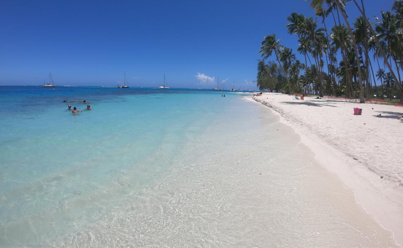 Photo de Plage de Ta'ahiamanu avec sable blanc de surface