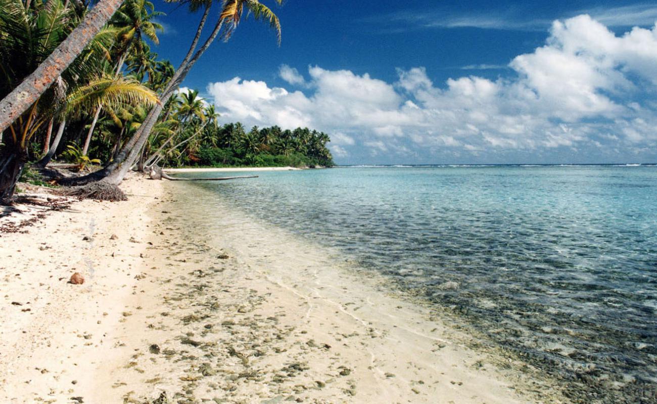 Photo de Jardin de Corail avec sable beige de surface