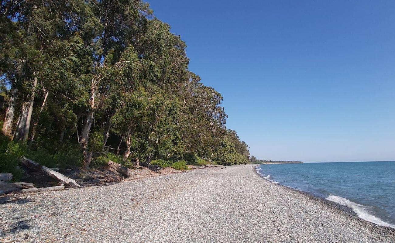 Photo de Akhali-Kindgi beach avec caillou gris de surface