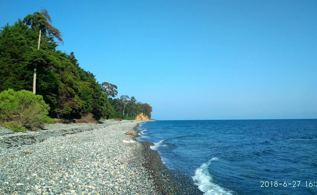 Photo de Tskurgili beach avec caillou clair de surface