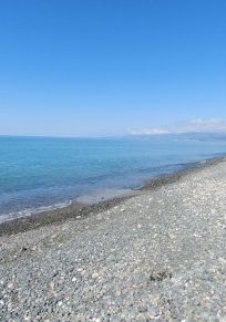 Gulripshi