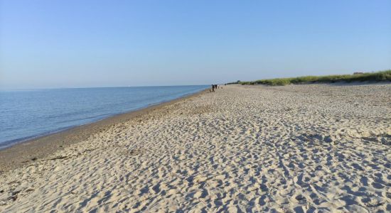 Plage de Schillig