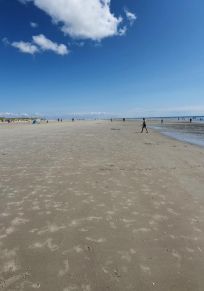 Île d'Amrum