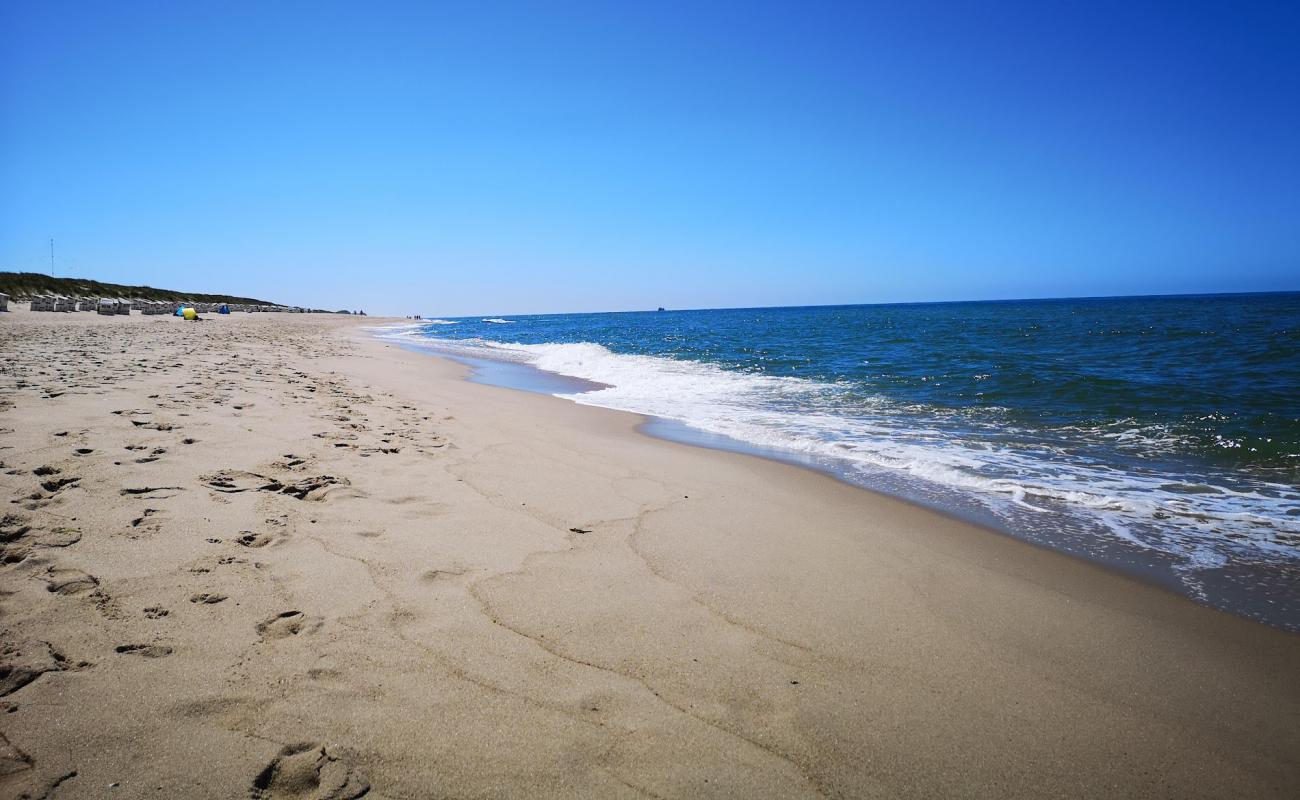 Photo de Samoa FKK strand avec sable lumineux de surface