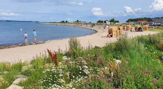 Strand Langballig