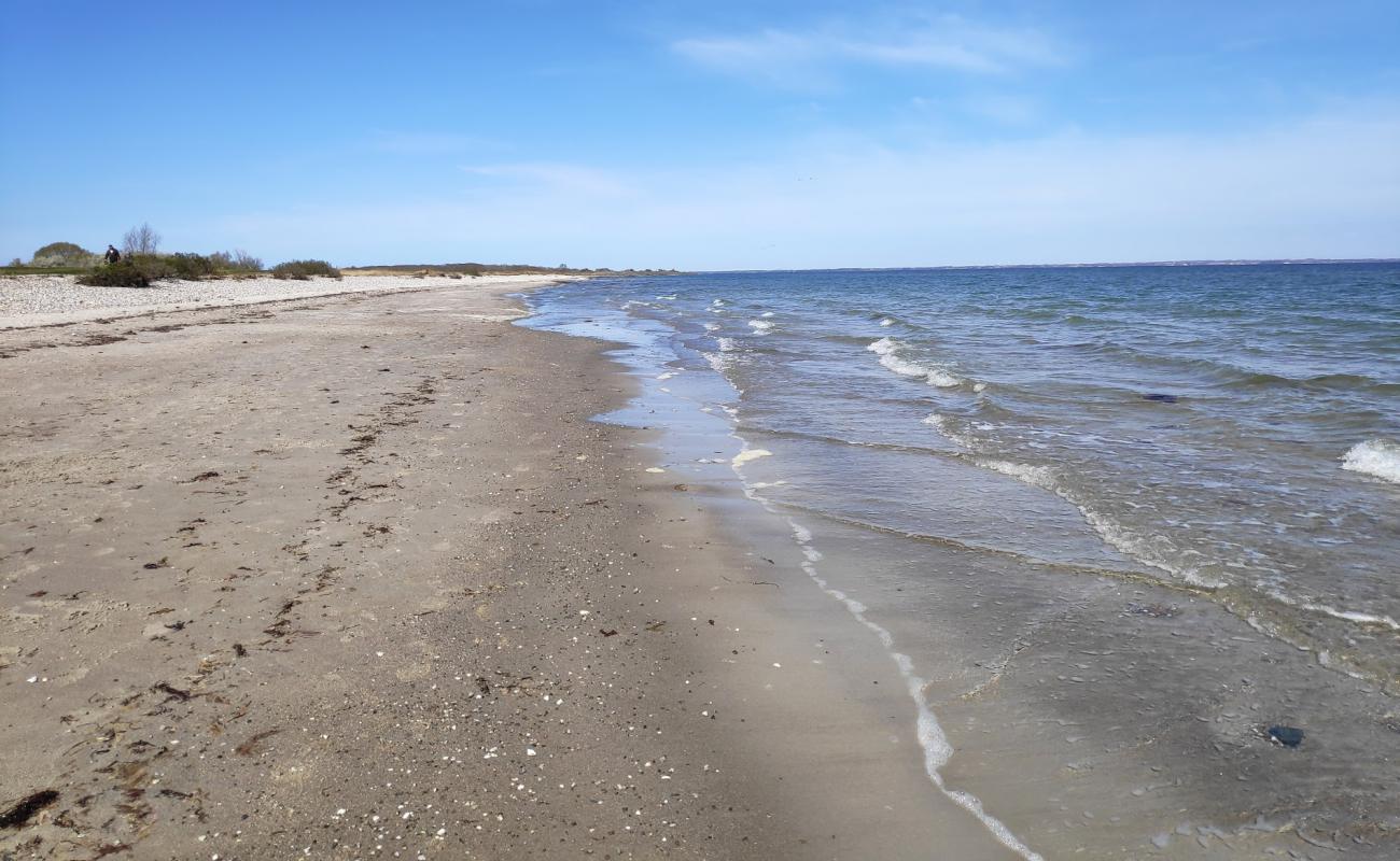 Photo de Strand Am Leuchtturm avec sable clair avec caillou de surface