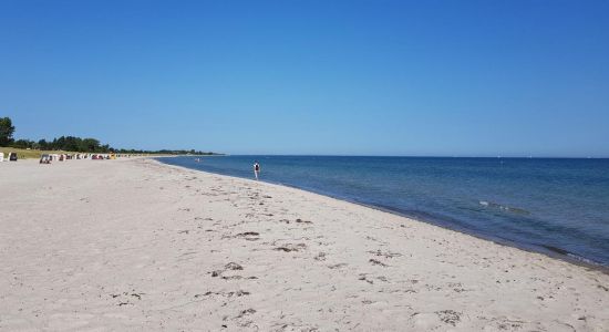 Plage de Kronsgaard