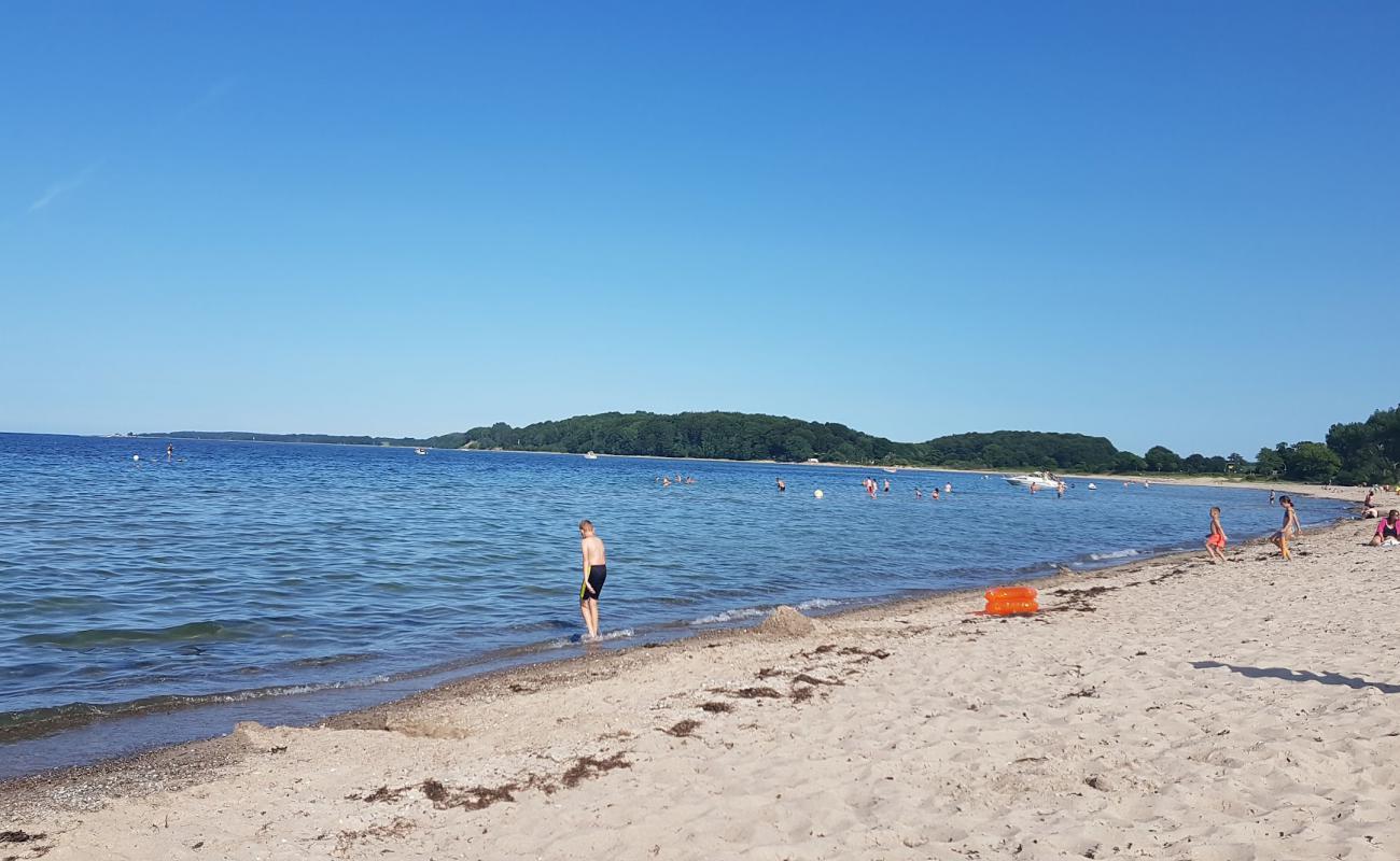 Photo de Sudstrand Eckernforde avec sable beige de surface