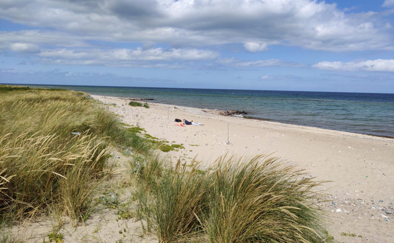 Photo de Behrensdorfer Strand avec sable beige & galets de surface