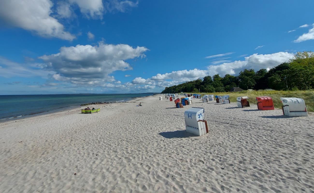 Photo de Plage de Hohwacht avec sable lumineux de surface