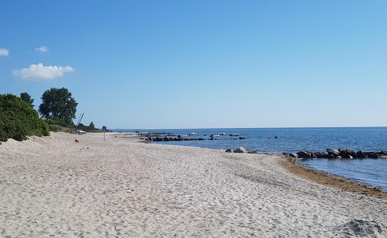 Photo de Rettin Strand avec sable beige de surface