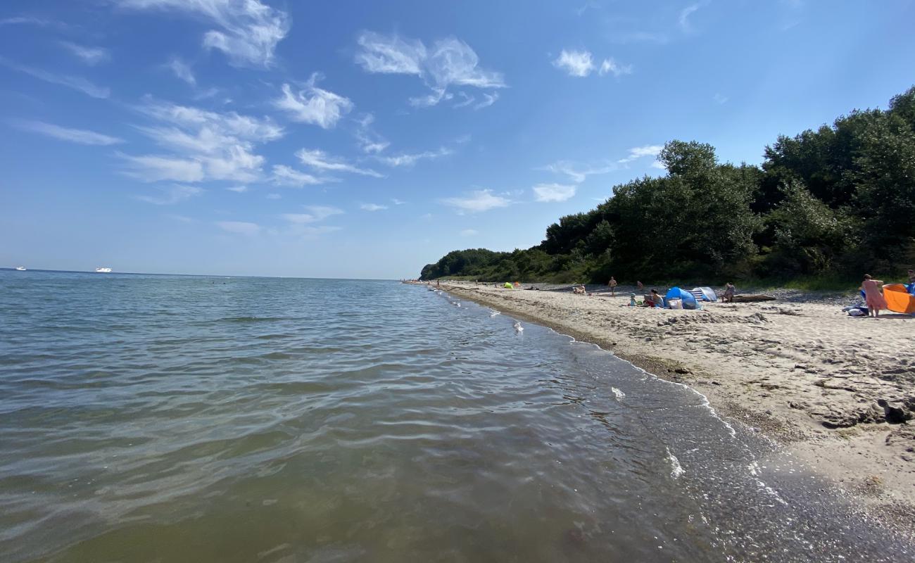 Photo de Naturstrand Gross Schwansee avec sable lumineux de surface