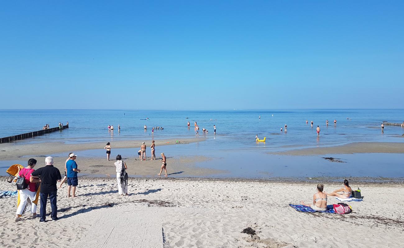 Photo de Strand am Schwarzen Busch avec sable beige de surface