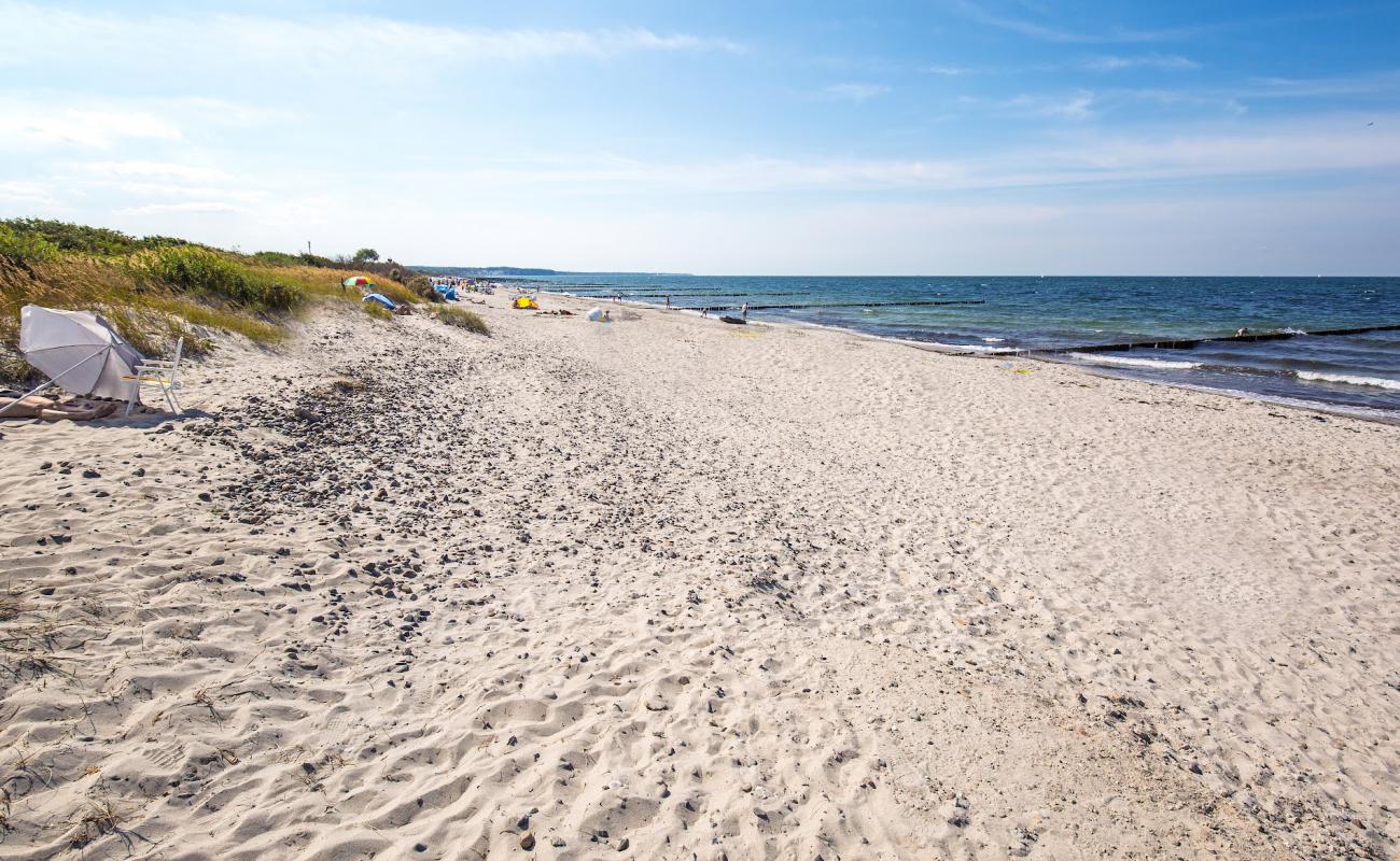 Photo de Strand Borgerende avec sable beige de surface