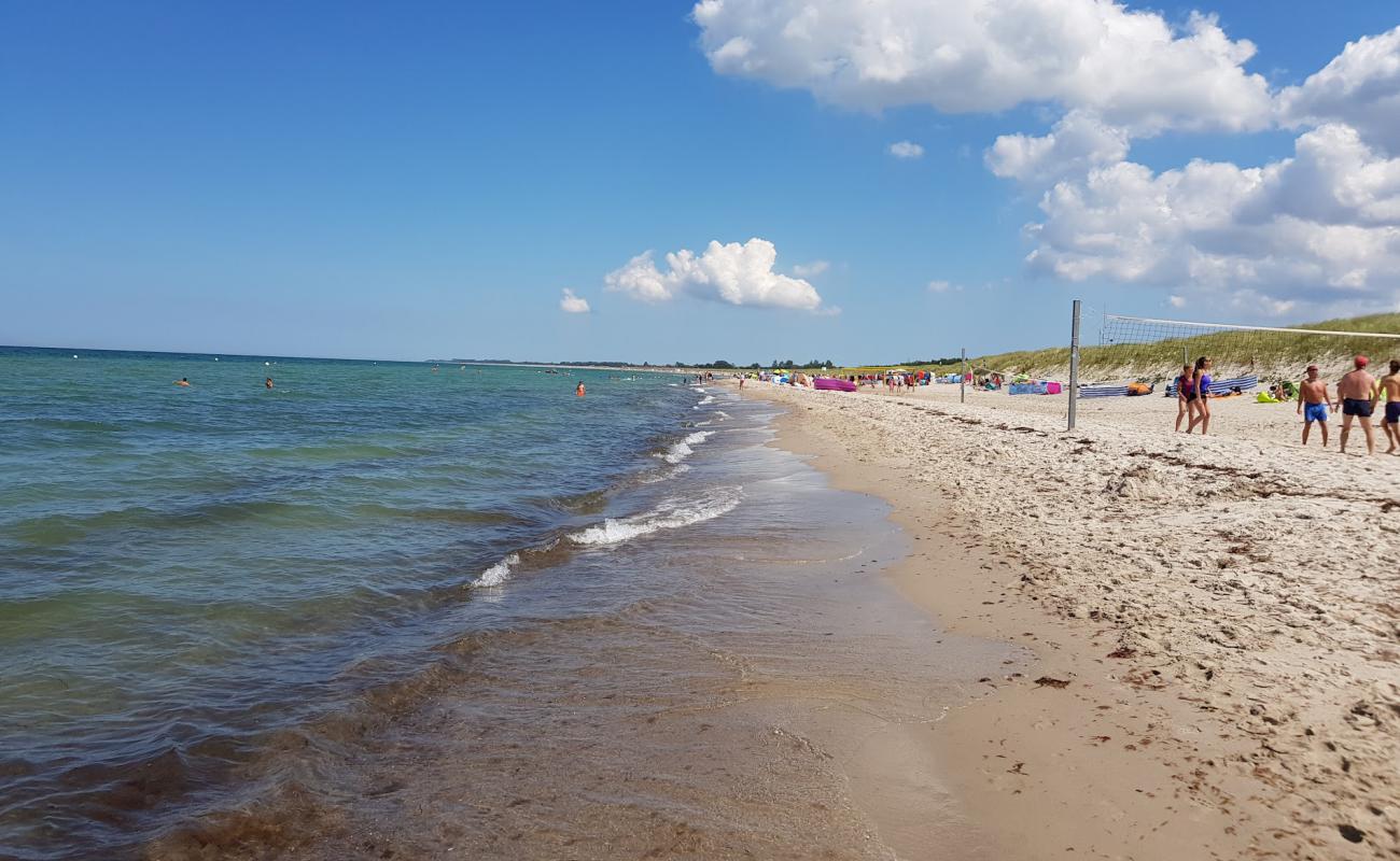 Photo de Dierhagen Strand avec sable lumineux de surface