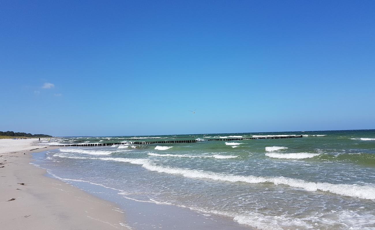 Photo de Strand Prerow avec sable lumineux de surface