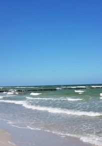 Zingst