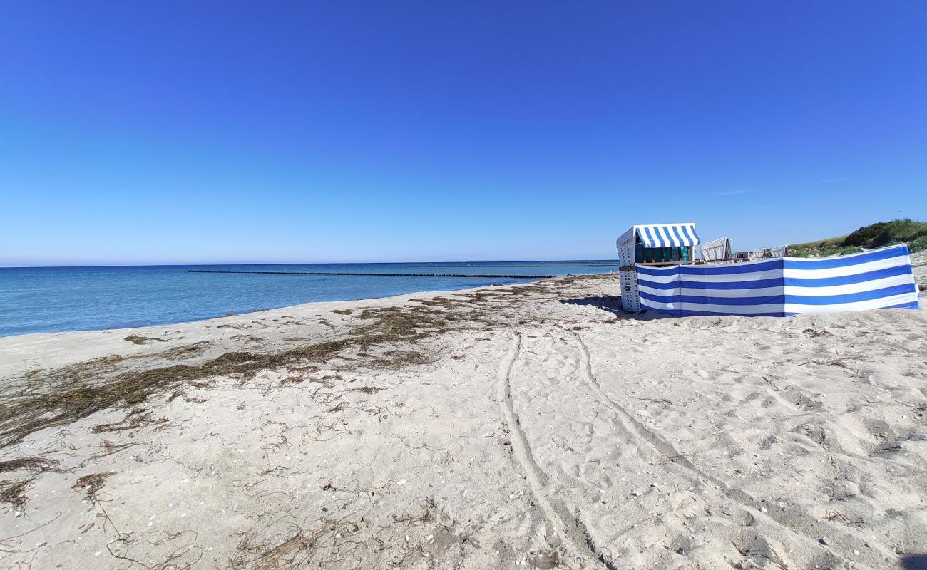 Photo de Strand Hiddensee avec sable beige de surface