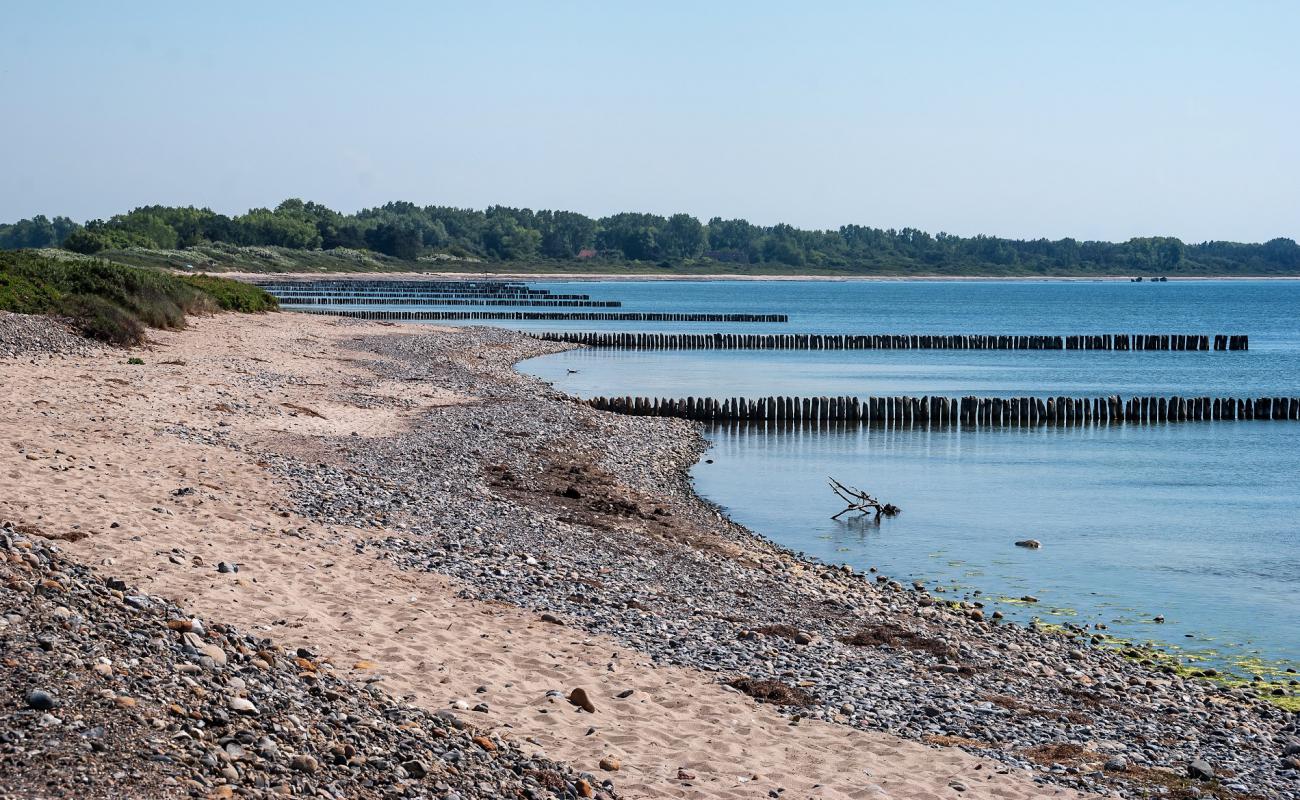 Photo de Dranske strand avec sable brillant et rochers de surface