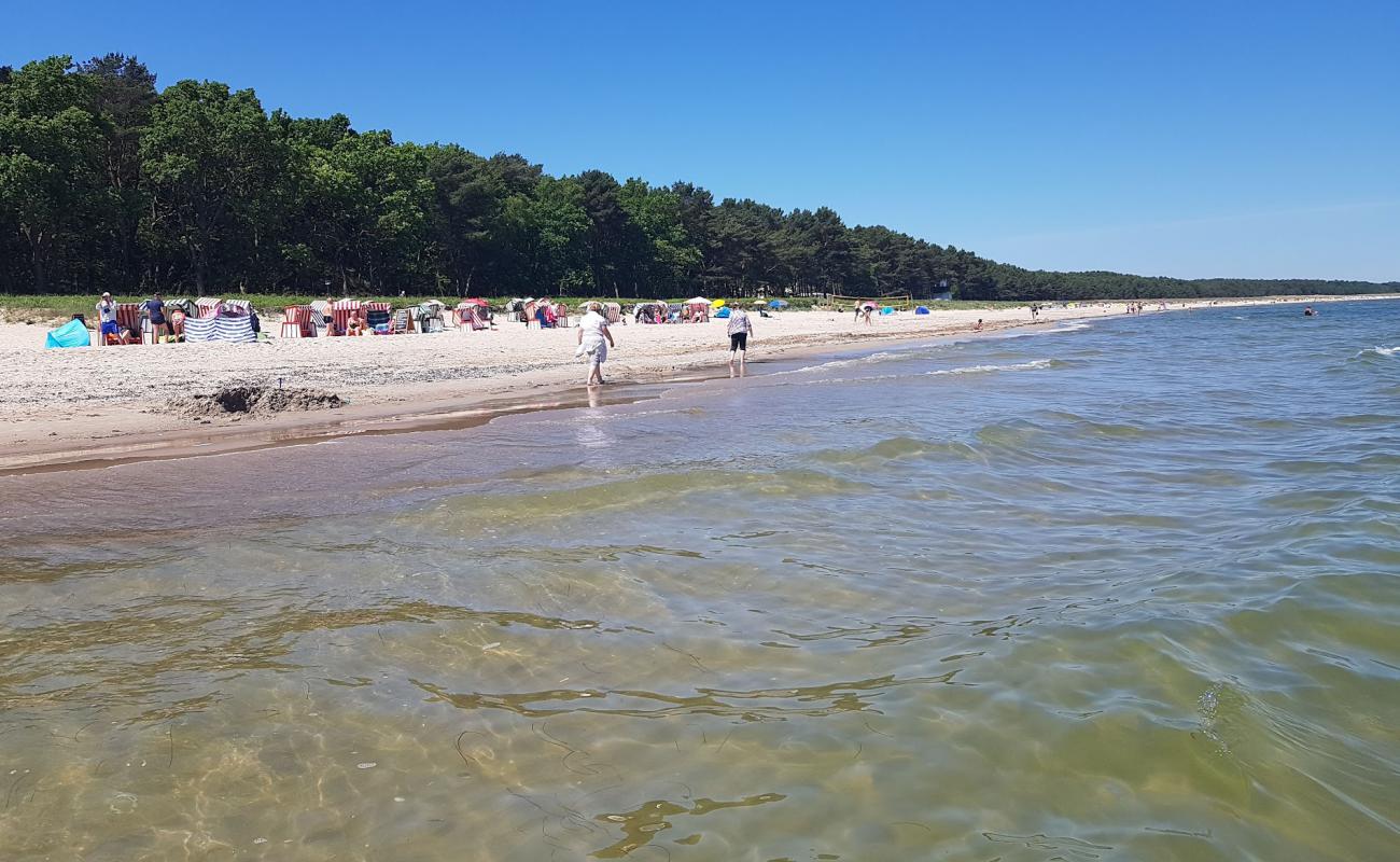 Photo de Strandkorbvermietung avec sable lumineux de surface