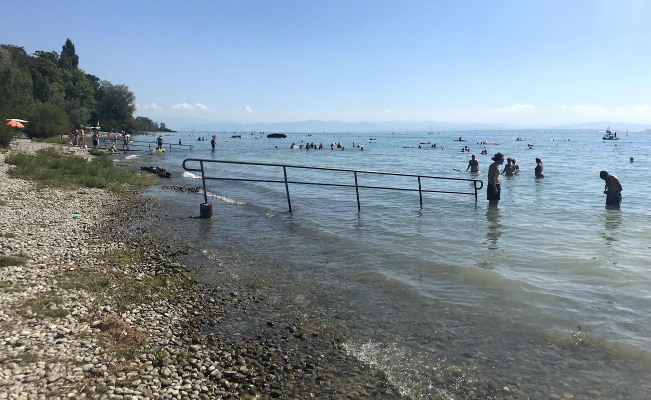 Photo de Strandbad Hagnau avec herbe de surface