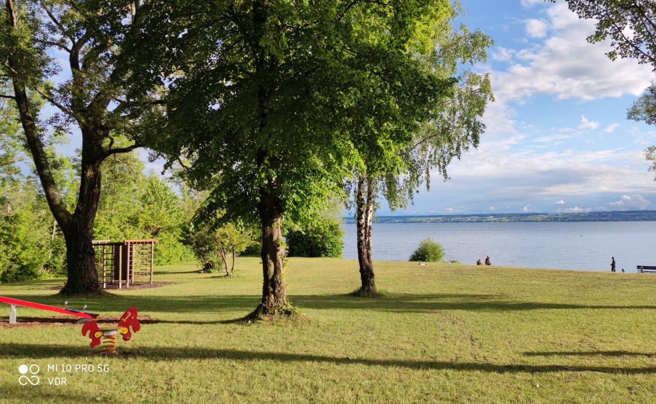 Photo de Strandbad Hagnau II avec herbe de surface
