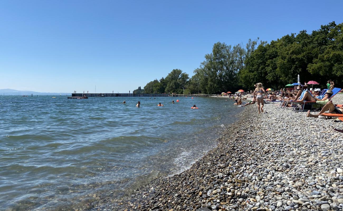 Photo de Naturstrandbad Kressbronn am Bodensee avec caillou gris de surface