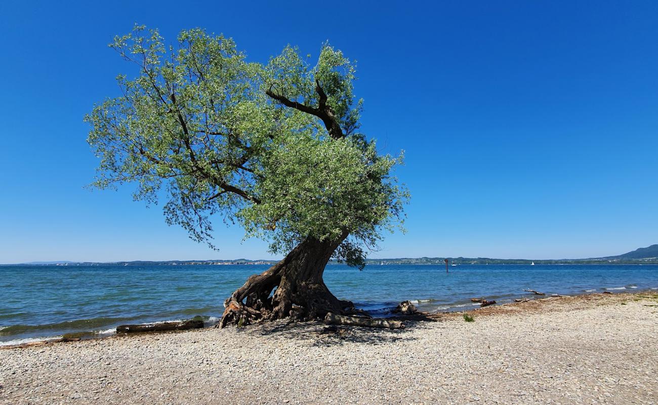 Photo de Strand auf der Halbinsel am Wocherhafen avec galets gris de surface