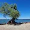 Strand auf der Halbinsel am Wocherhafen